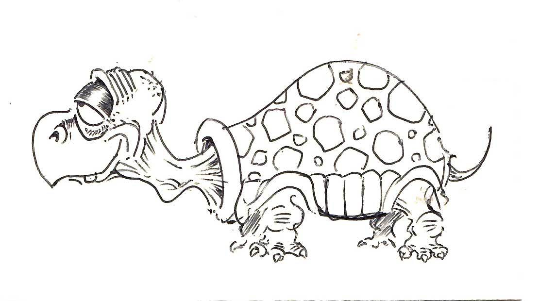 Tortoise
