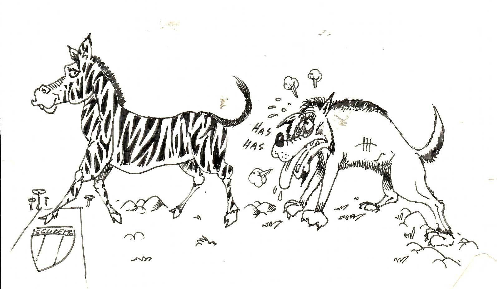 Zebra-e-Lupa