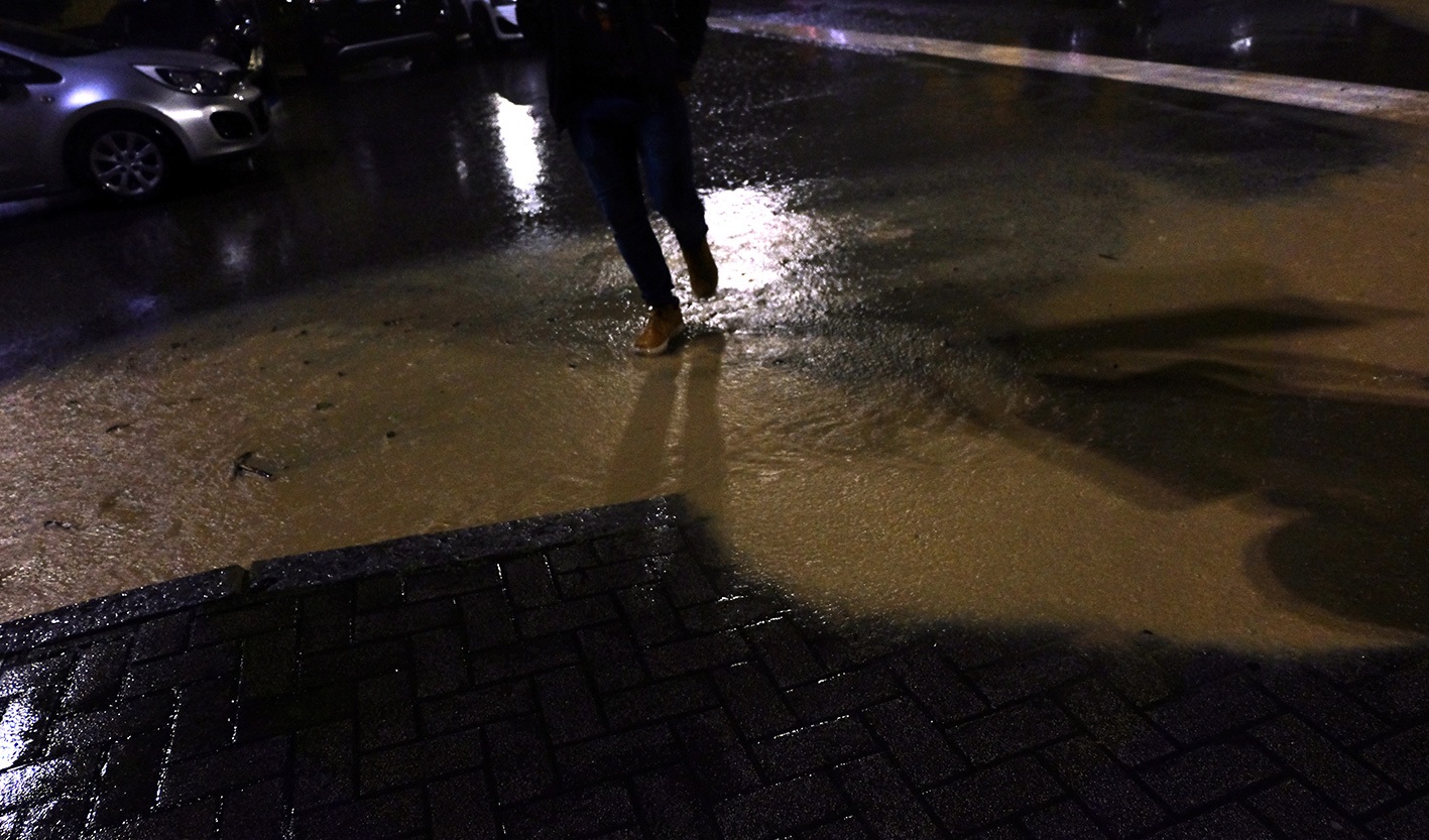 Camminando.1