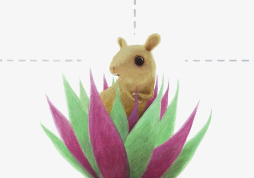 topino