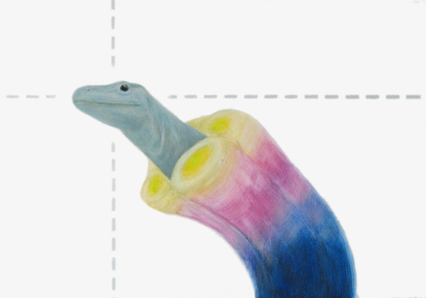 varano